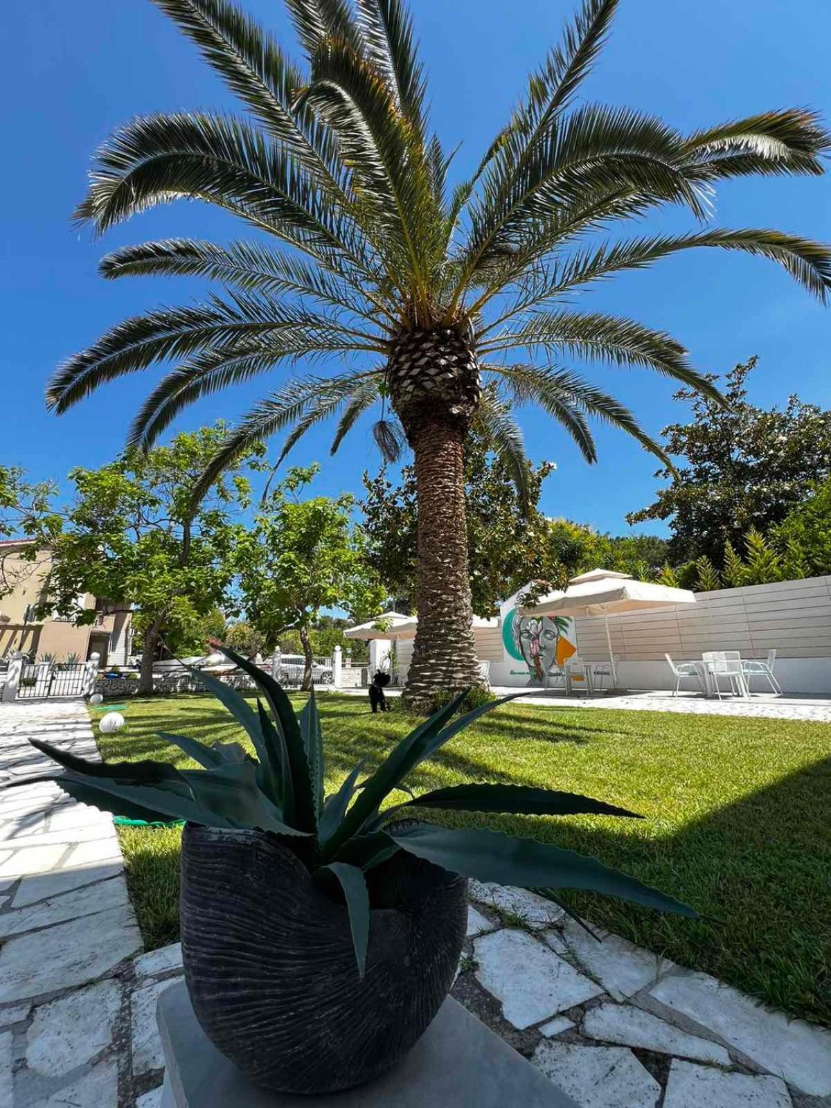 Hotel Proteas Ormos Prinou  Екстер'єр фото